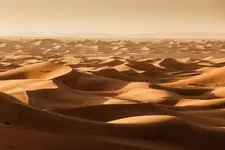 Sahara