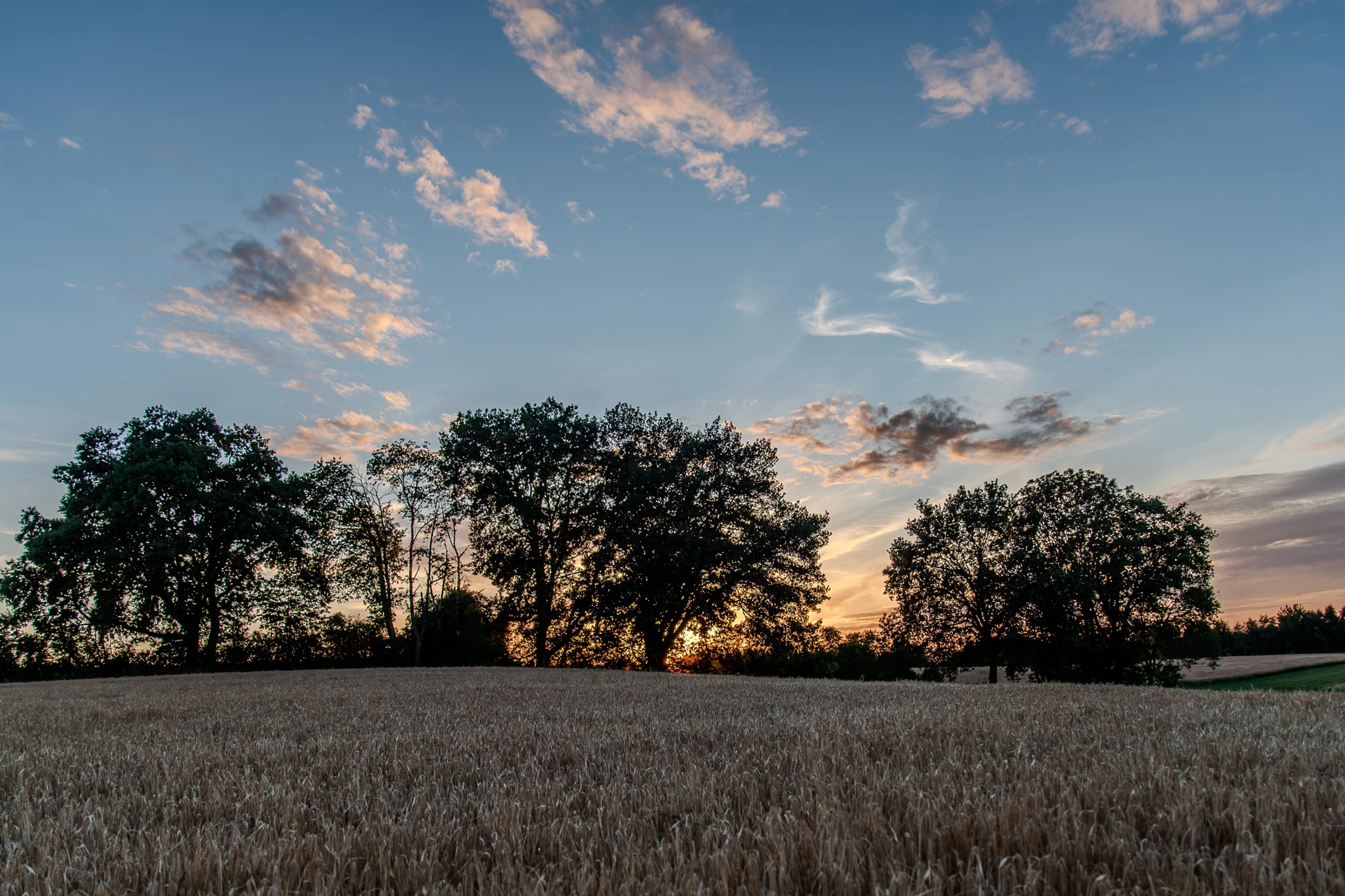 Natura_1