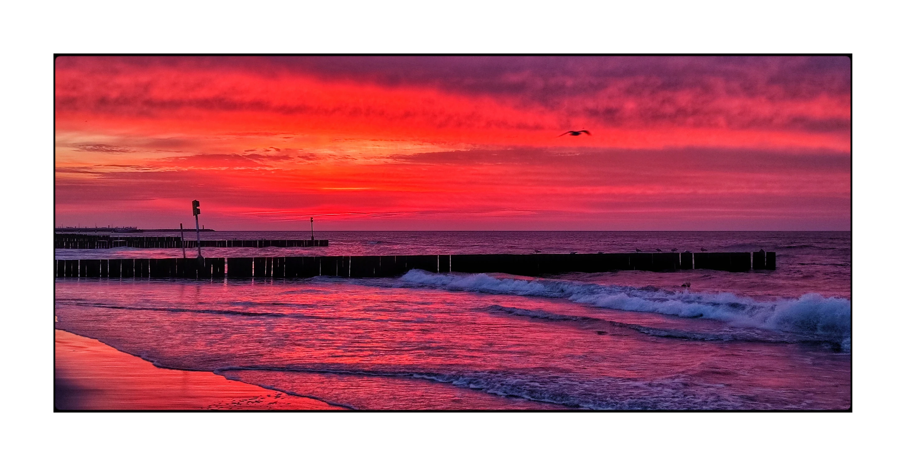 IMG_20250410_195737_1