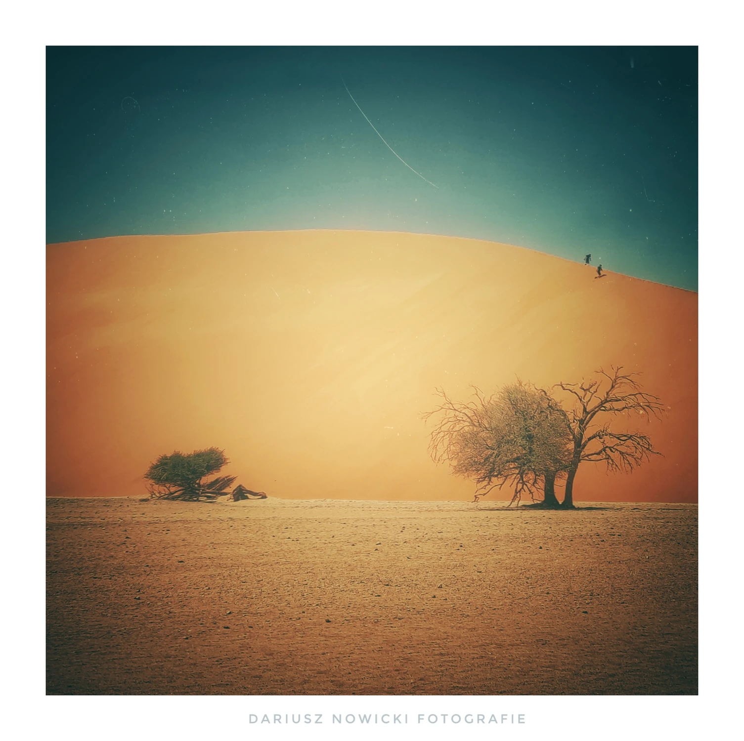 Wspominki z Namibii 