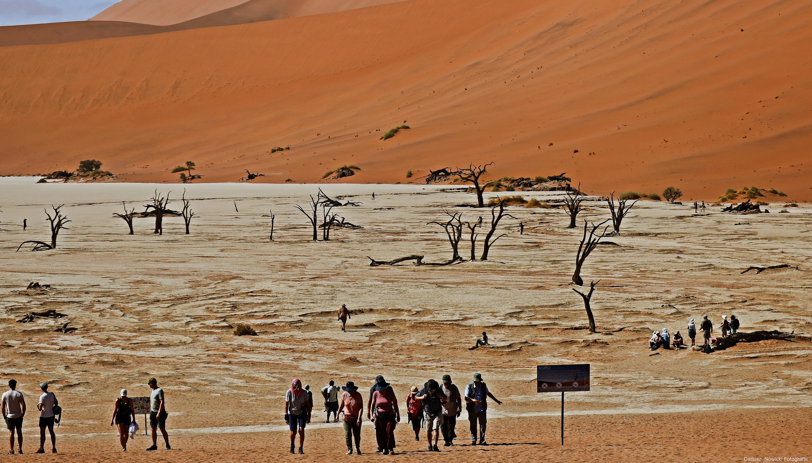 łażenie po kuwecie