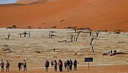 łażenie po kuwecie