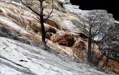 spacerkiem    -  dwa