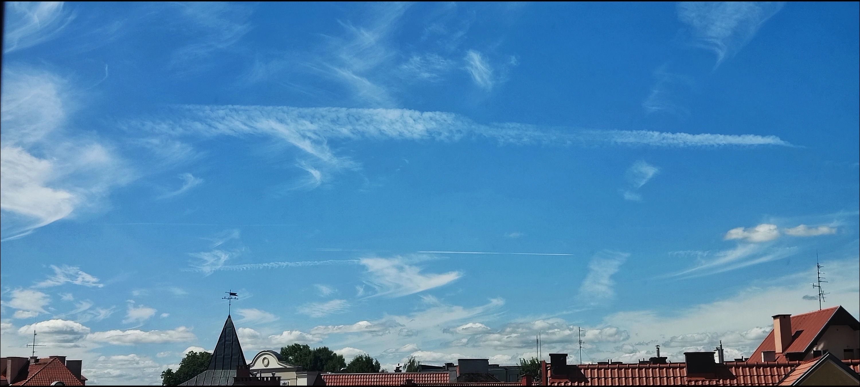 meldunek foliarza...kto umie patrzeć ten widzi...