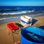 I z  pustego Salomon...