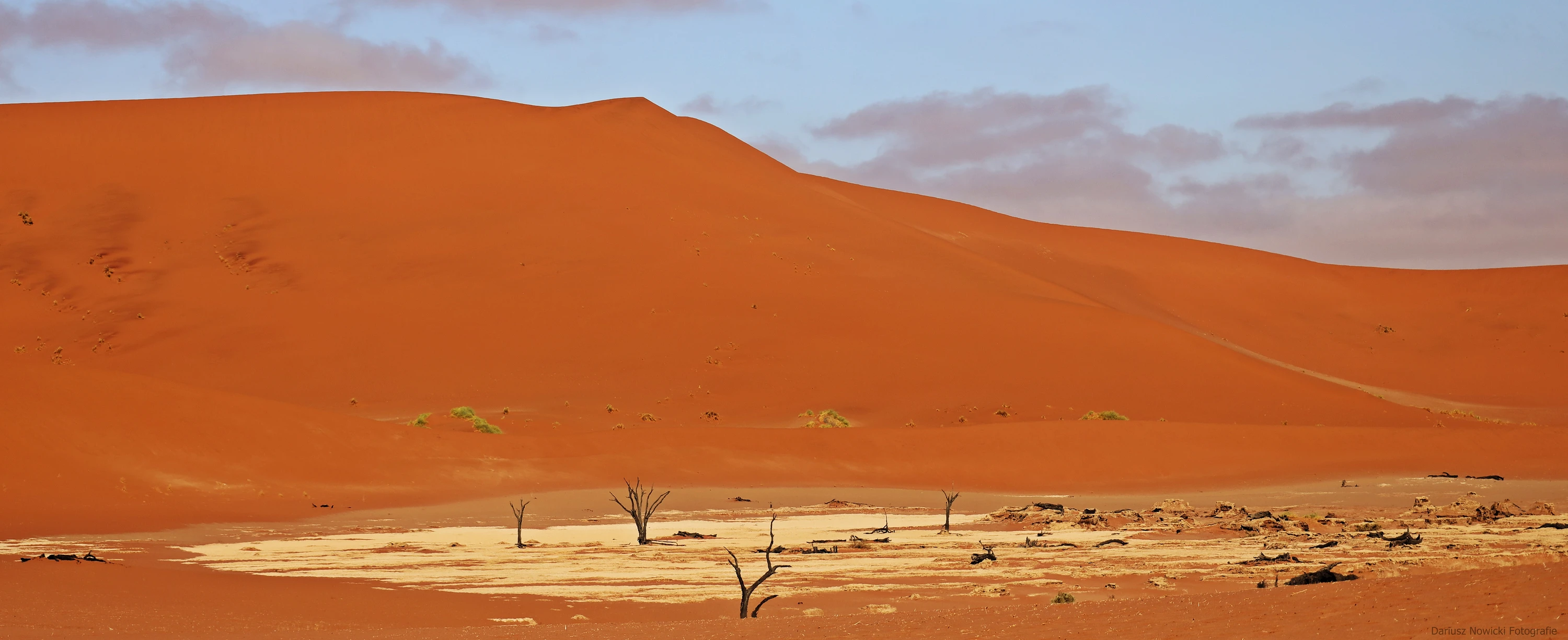  kolejne pustynne ...