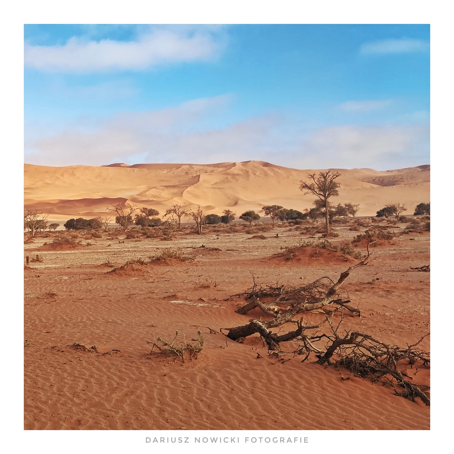kwadrat z Deadvlei