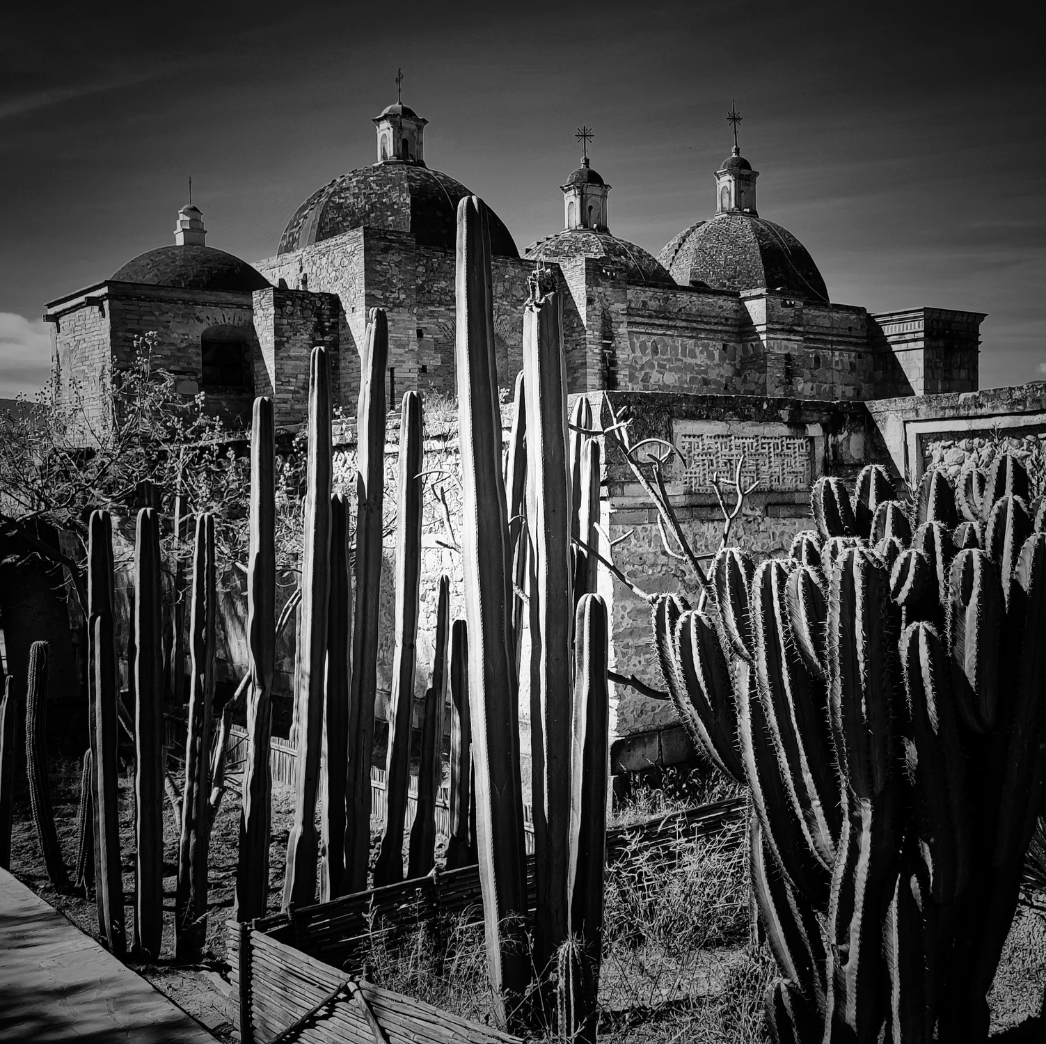 Tu też byłem za swoje...Mexyk 