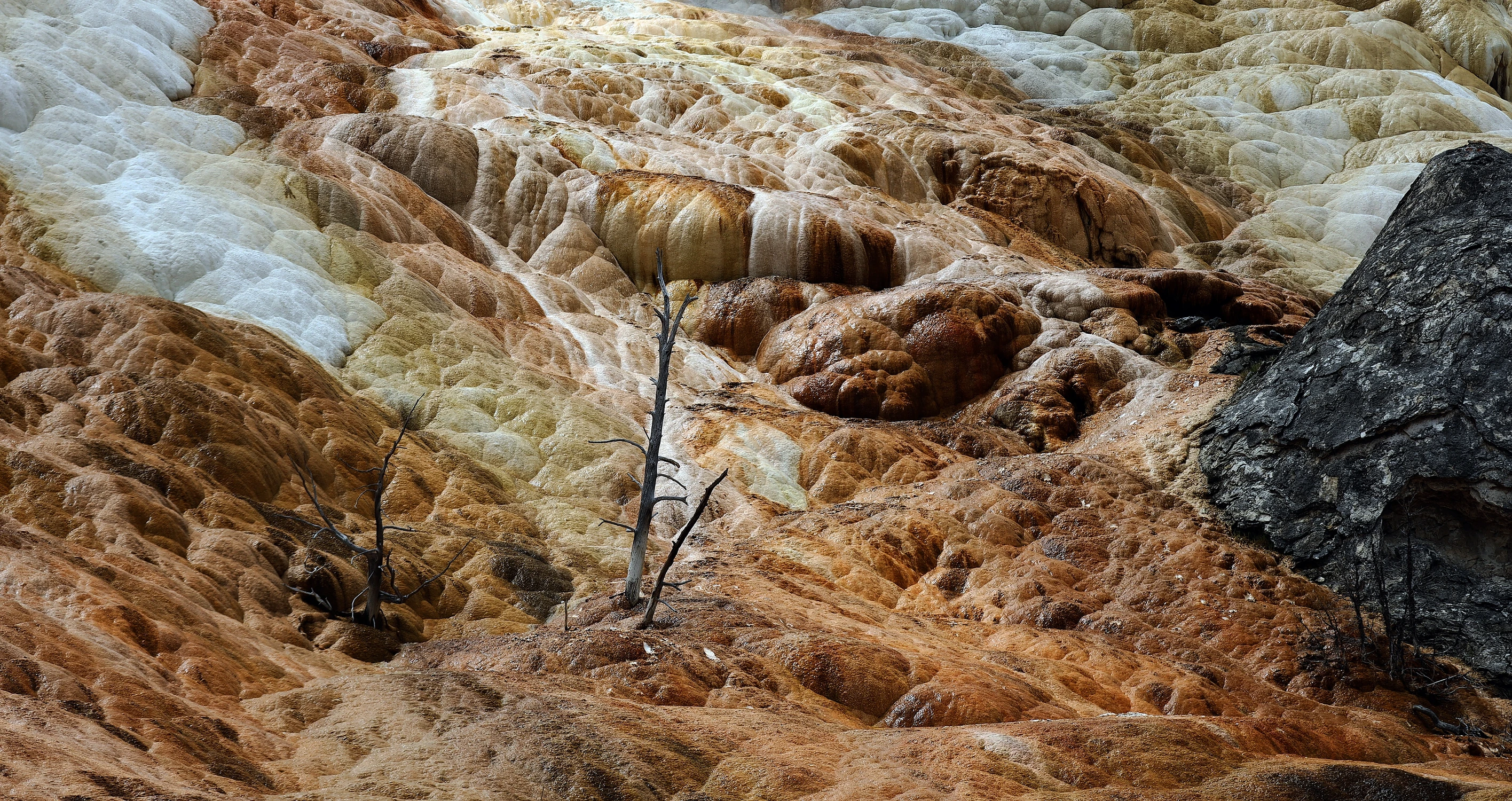  Obrazki z Yellowstone
