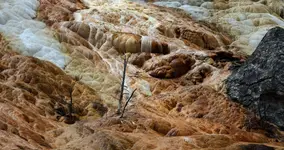  Obrazki z Yellowstone