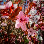 Kartka z kalendarza ...dwa