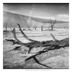 Deadvlei