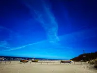 Tylko nie piszcie że to normalne...