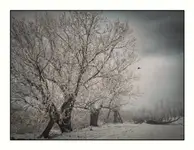 Spacerkiem w rezerwacie