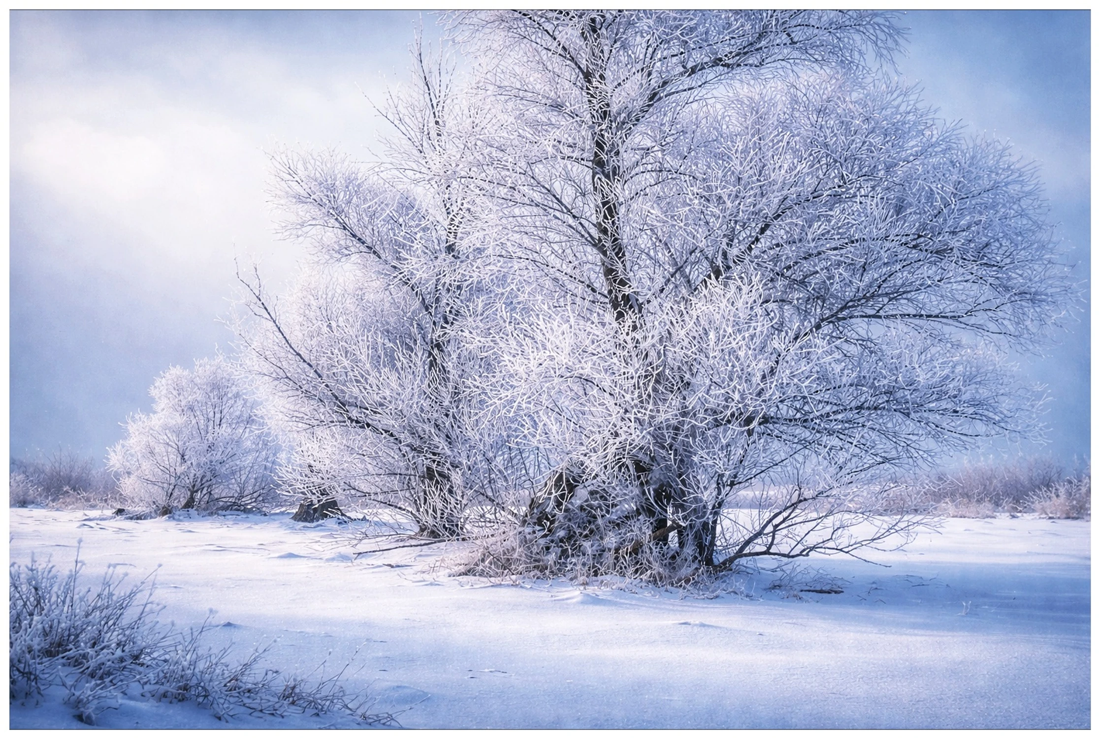 1000092964....nieopodal