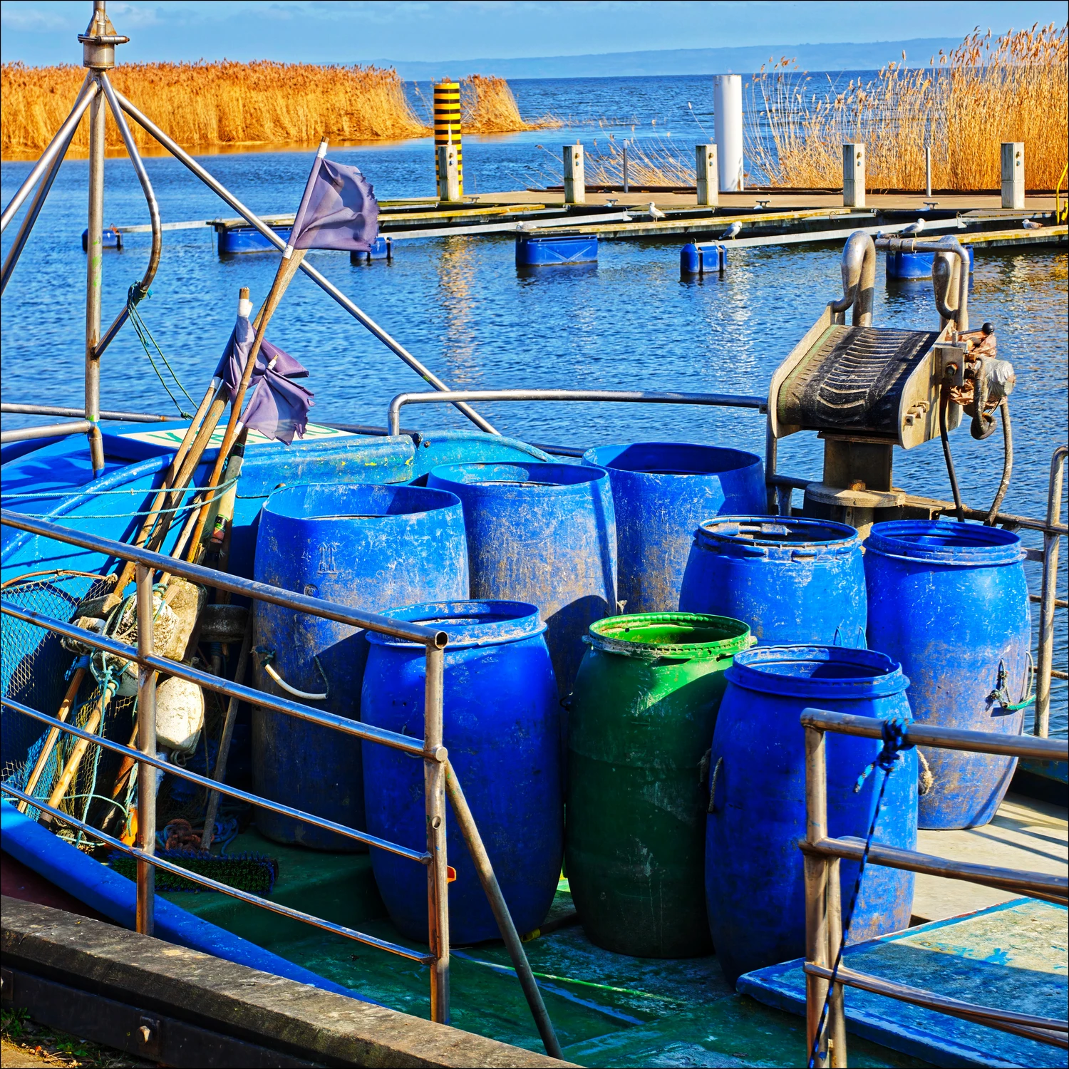 W niebieskim odcieniu