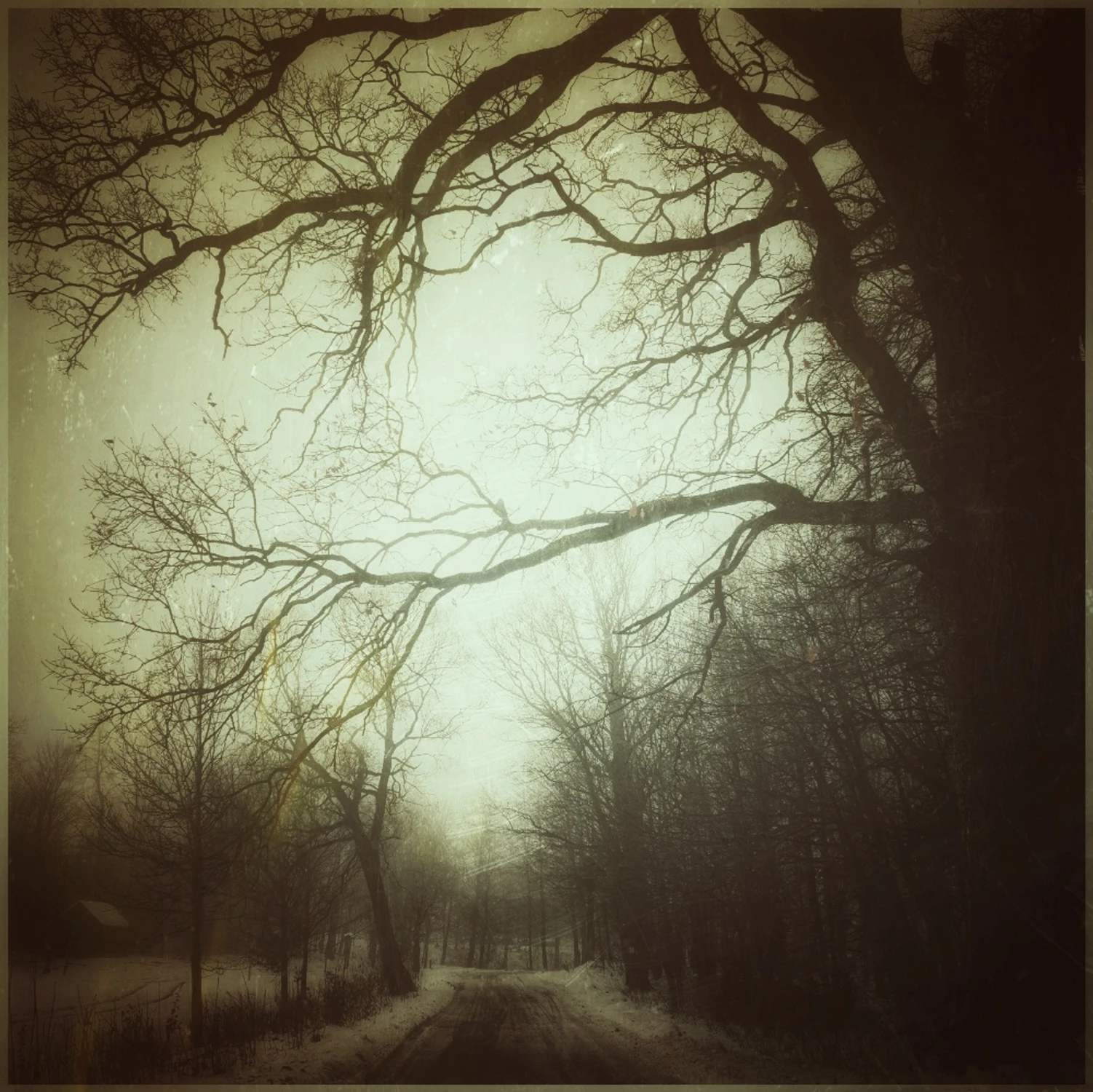 To chyba będzie nokturn 