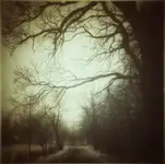 To chyba będzie nokturn 