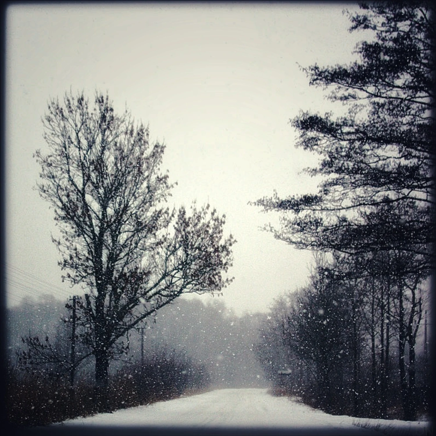 Niech zadymka ściga nas