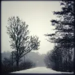 Niech zadymka ściga nas