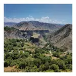 _20220727_Garni