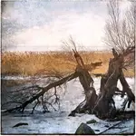 Tańcowały dwa Michały