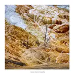 Yellowstone 