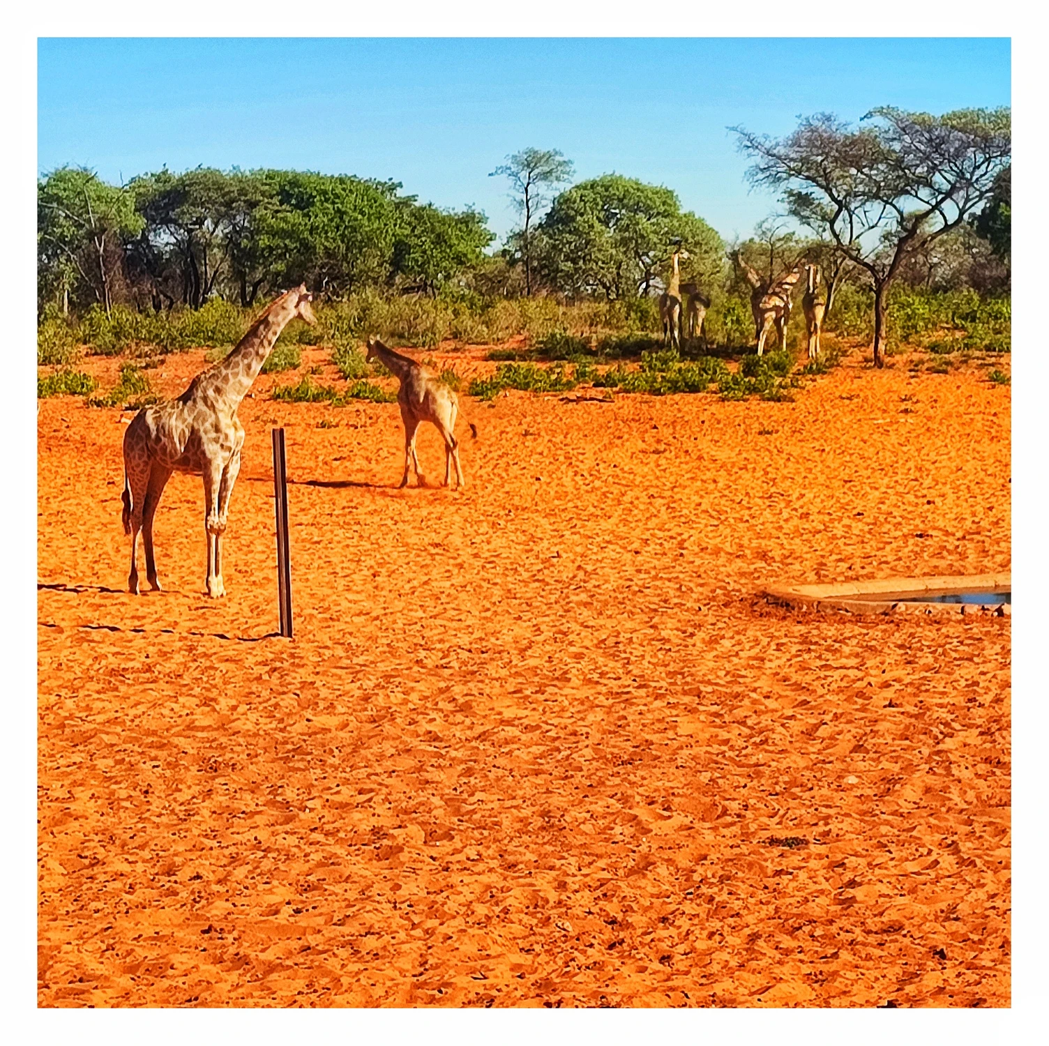 Chodzcie ...tu jest woda