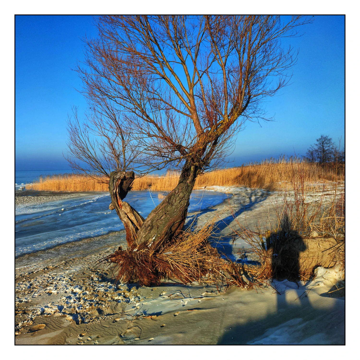 Selfika se szczeliłem