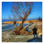 Selfika se szczeliłem