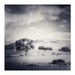 Diuny