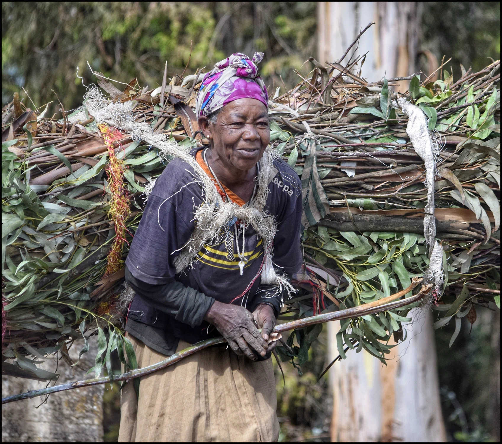 Niosąca chrust.Portret uliczny