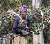 Niosąca chrust.Portret uliczny