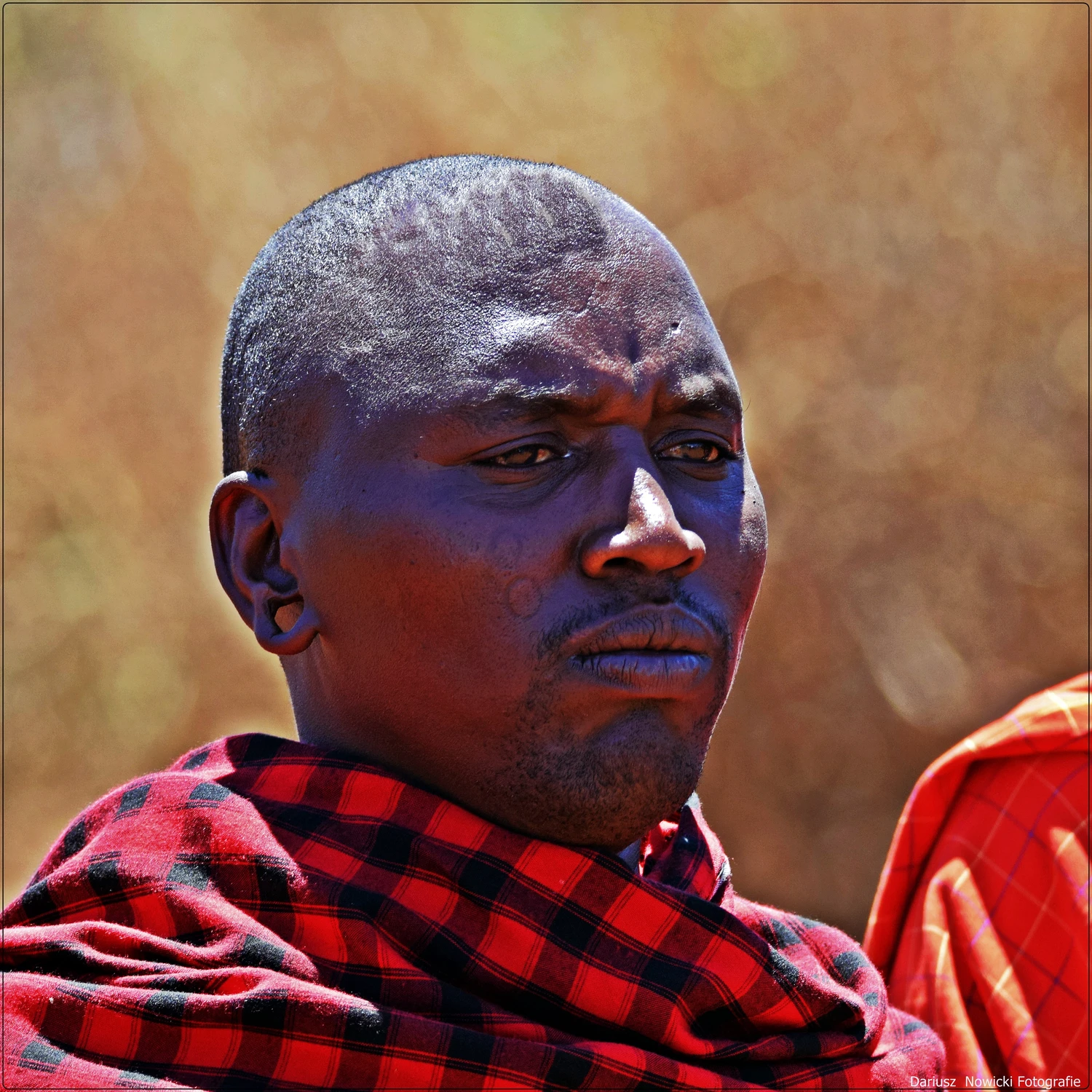  Ząbków nie pokarzę 