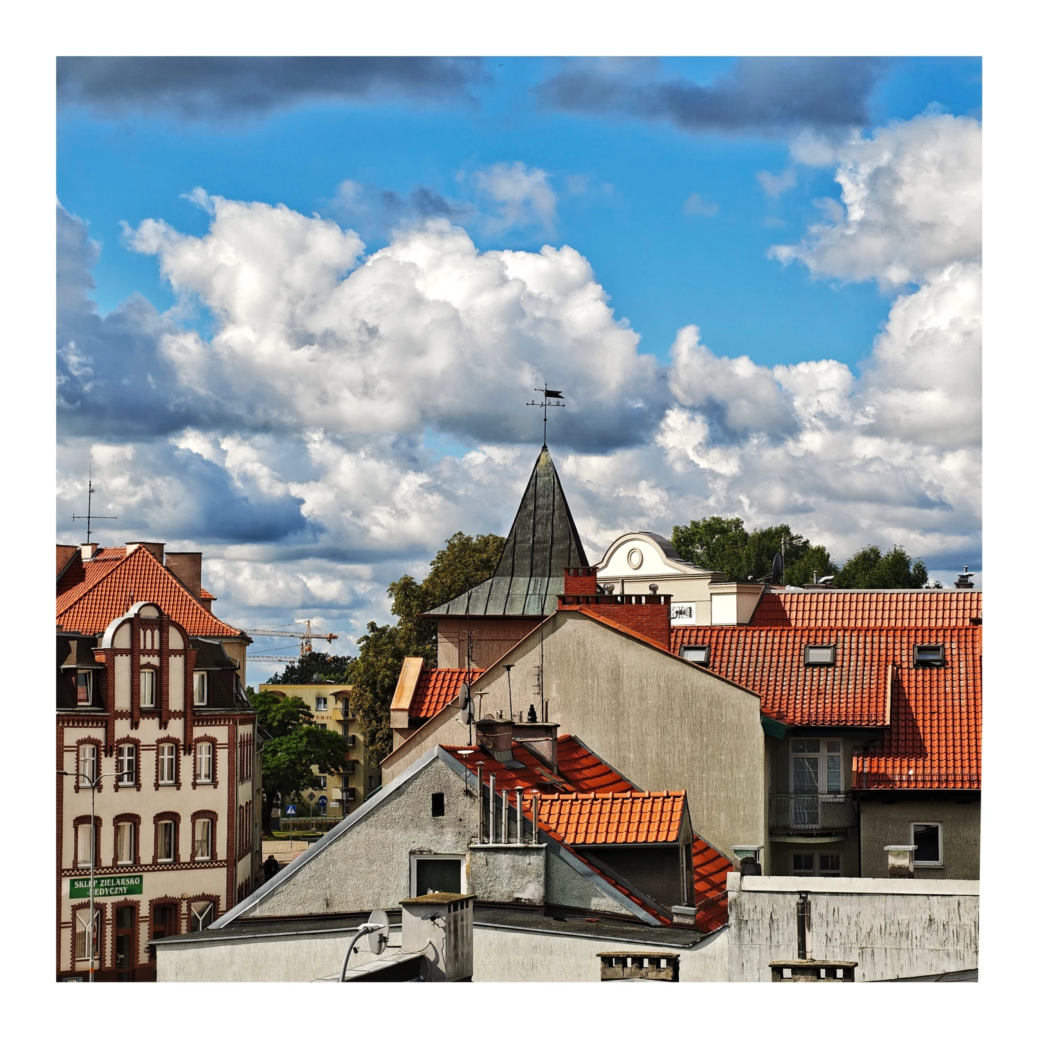 2679..foto na niedzielę niehandlową.