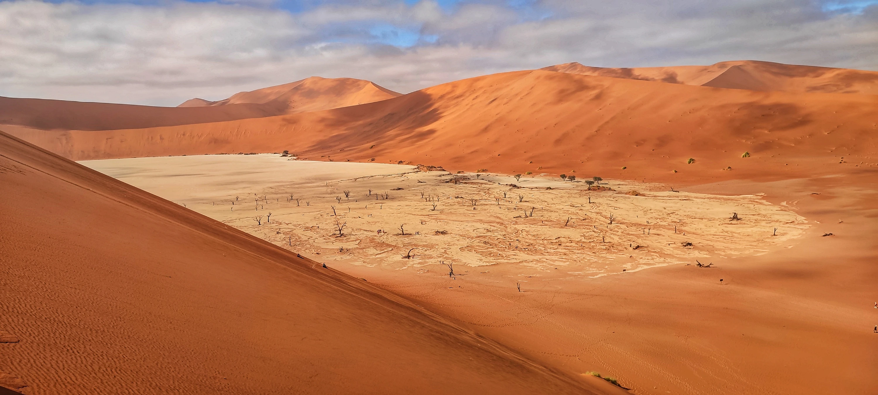 Deadvlei.  Namibia