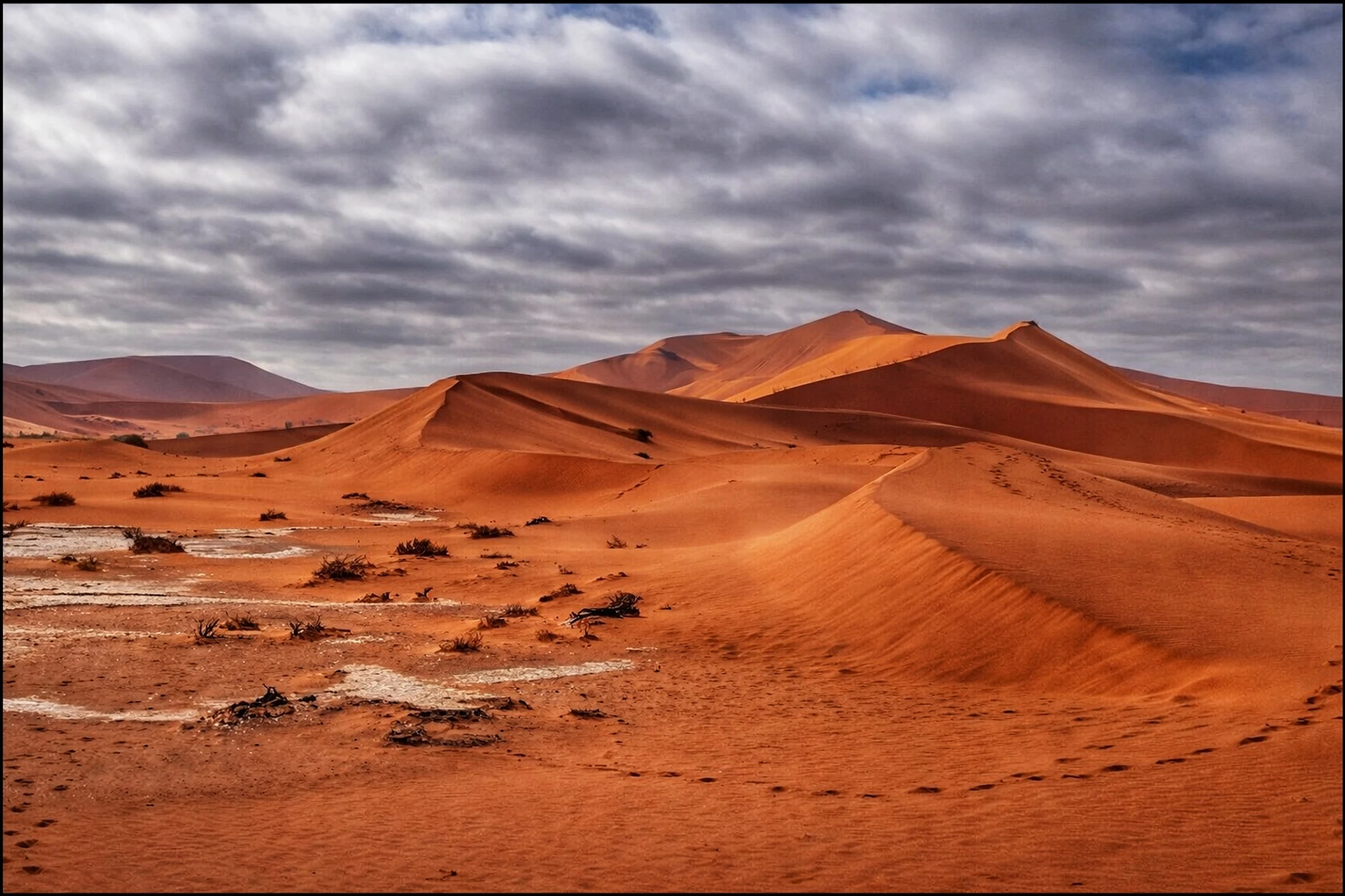 402.świerszczy brak