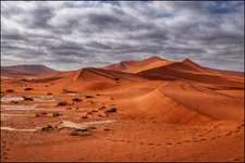 402.świerszczy brak