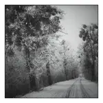 Droga do Lass Fatall