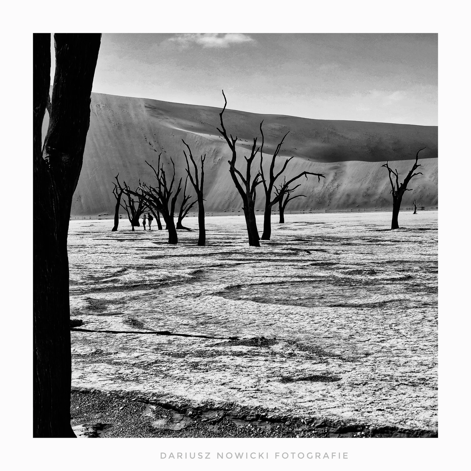 na dnie w  Deadvlei 
