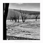 na dnie w Deadvlei