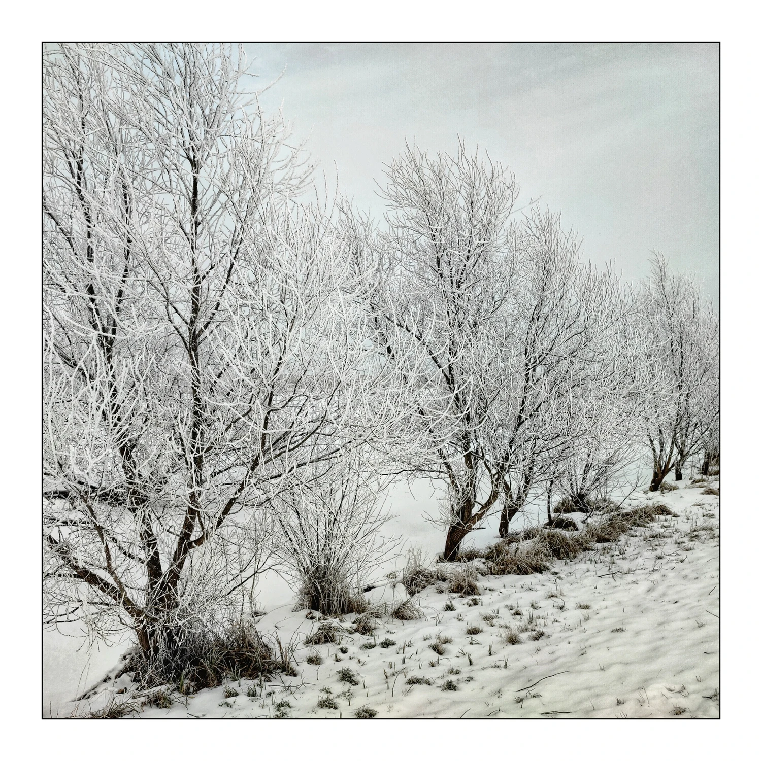 Lass Fatall w okolicy