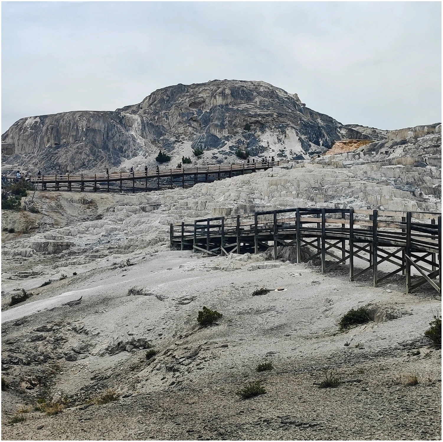 IMG_20250703_Mammoth Hot Springs