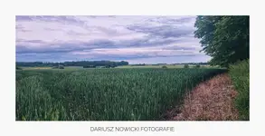 Pola w okolicy