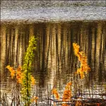 IMG_20260503_###