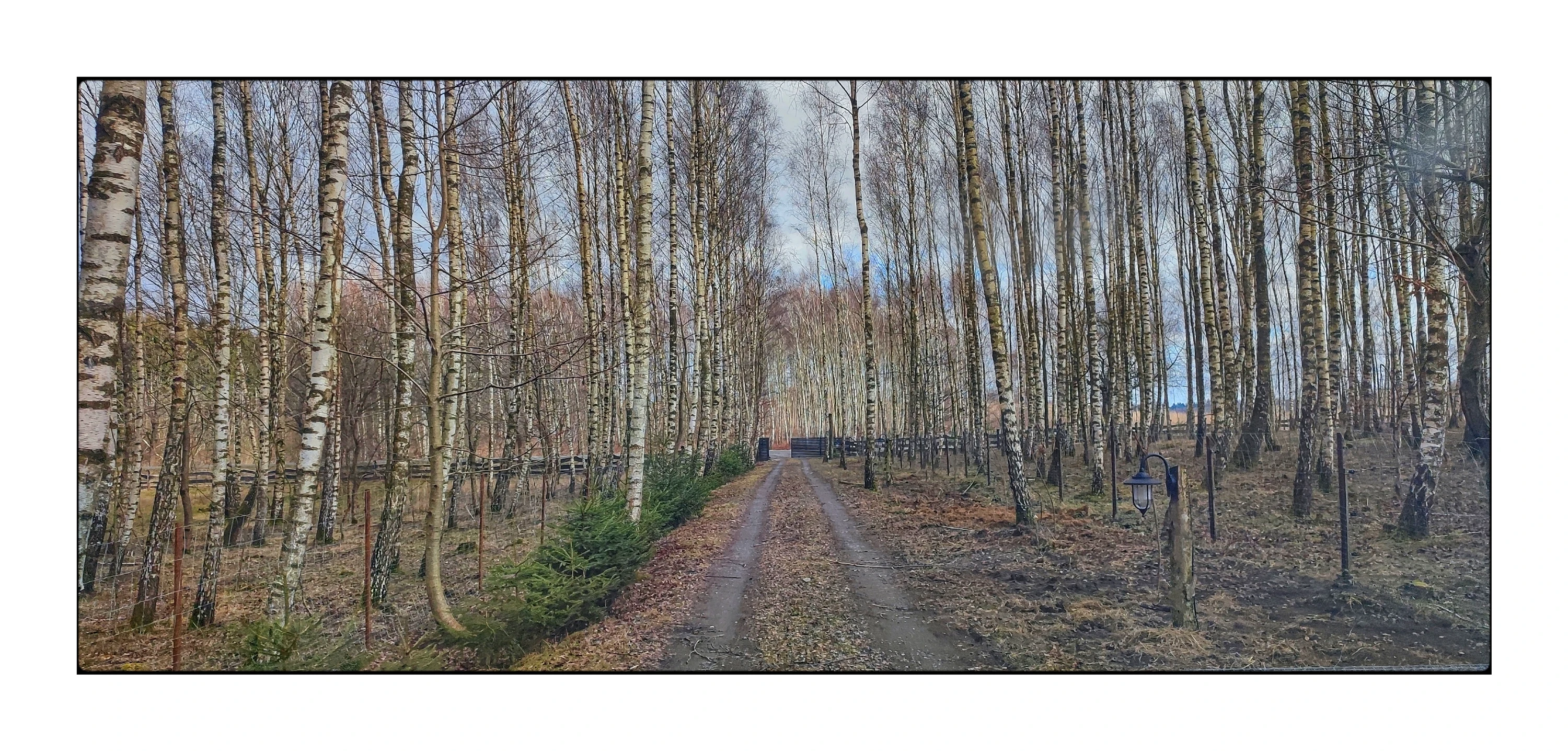 Brama na wiosnę otwarta