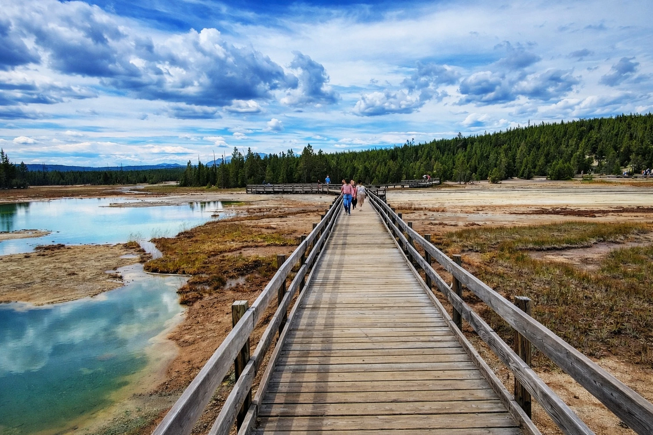 Kładka.Park Narodowy
