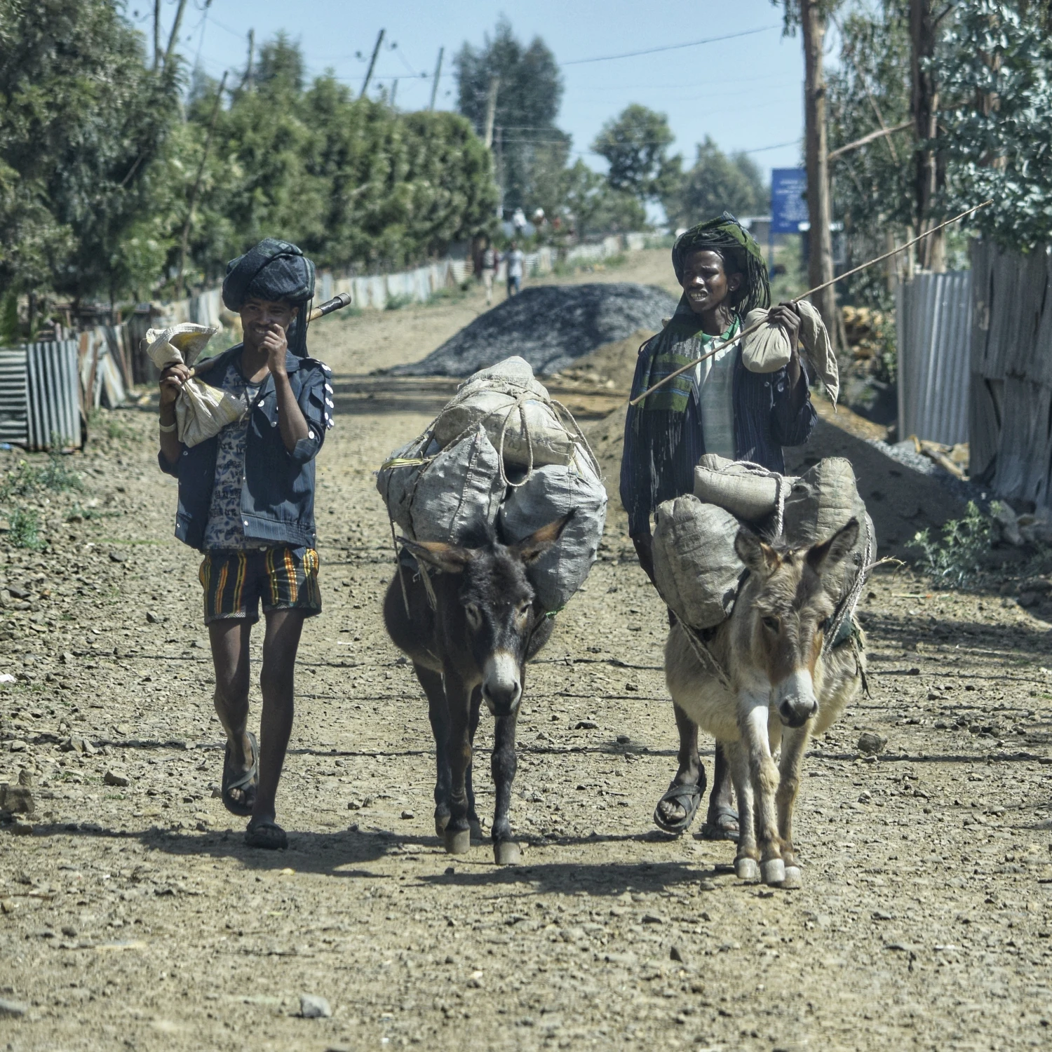 Osiołki albo dostawa
