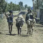 Osiołki albo dostawa