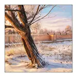 Kormoranom też zimno